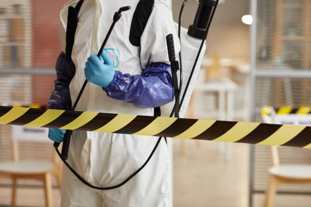 Professional Blood Cleanup technician working in Alpena, AR